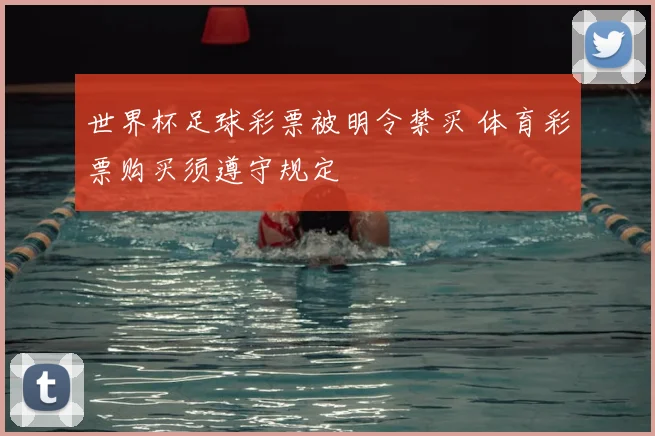 世界杯足球彩票被明令禁买 体育彩票购买须遵守规定