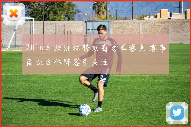 2016年欧洲杯赞助商名单曝光 赛事商业合作阵容引关注