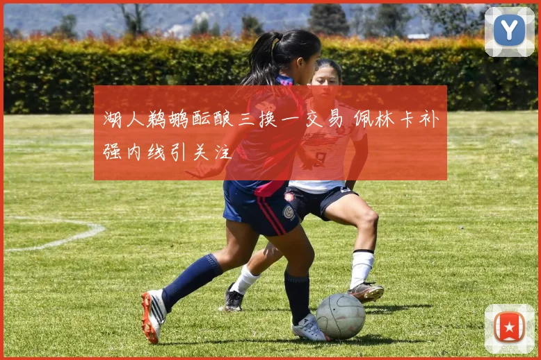 湖人鹈鹕酝酿三换一交易 佩林卡补强内线引关注