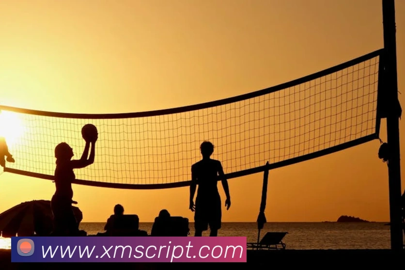 App Interface Preview